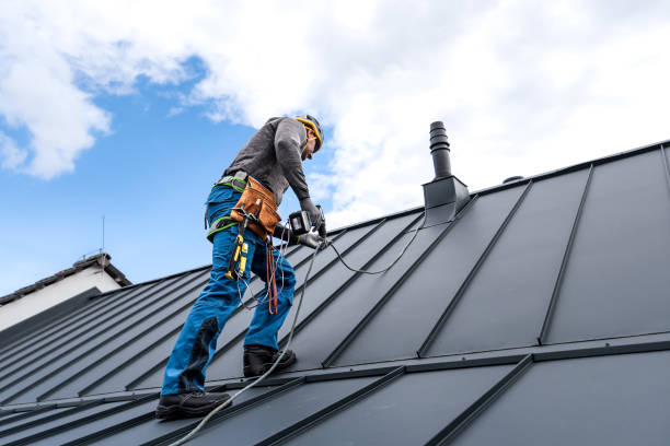 Best Roof Coating and Sealing  in Long Grove, IL